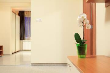 Фото номера Люкс с 1 спальней и балконом Отель Relax Coop Hotel г. Вонешта-Вода 5