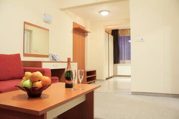 Фото номера Люкс с 1 спальней и балконом Отель Relax Coop Hotel г. Вонешта-Вода 2