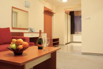Фото номера Люкс с 1 спальней и балконом Отель Relax Coop Hotel г. Вонешта-Вода 3